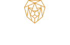 Specta Surfaces Blog